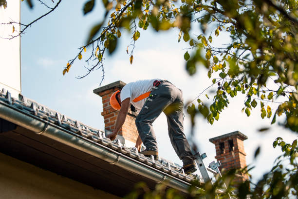 Best Sealant for Roof  in Osseo, WI